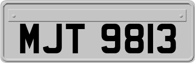 MJT9813