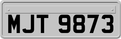 MJT9873