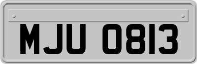 MJU0813