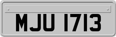 MJU1713