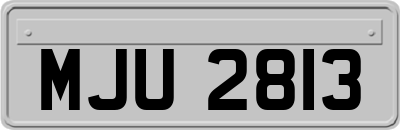 MJU2813