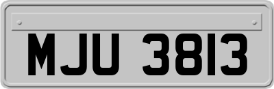 MJU3813