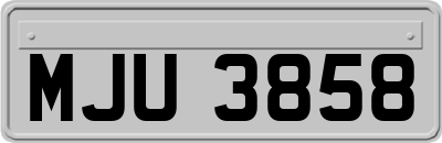 MJU3858