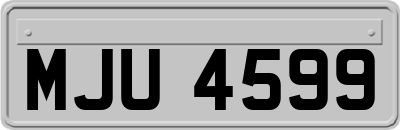 MJU4599