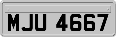 MJU4667