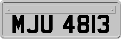 MJU4813