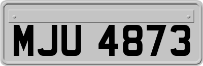 MJU4873