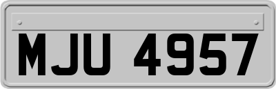 MJU4957