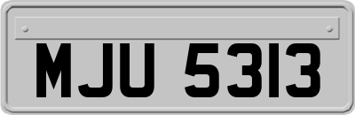 MJU5313
