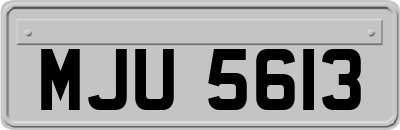 MJU5613