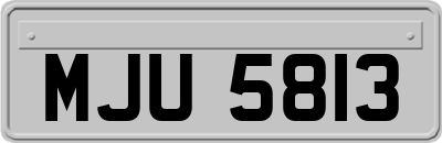 MJU5813