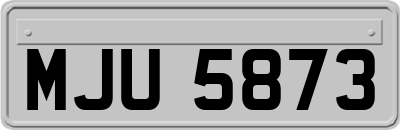 MJU5873
