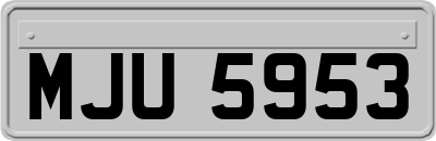 MJU5953