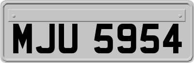 MJU5954