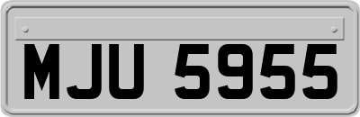 MJU5955