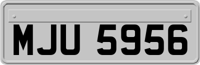 MJU5956