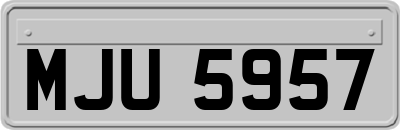 MJU5957