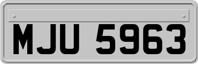 MJU5963