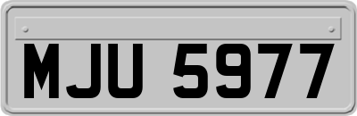 MJU5977