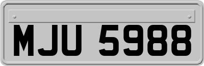 MJU5988