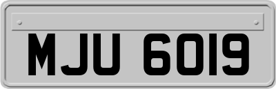 MJU6019