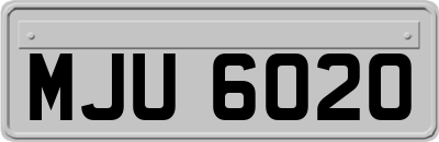 MJU6020