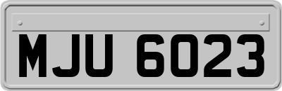 MJU6023
