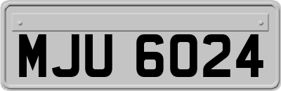 MJU6024