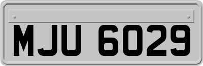 MJU6029