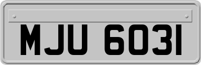 MJU6031