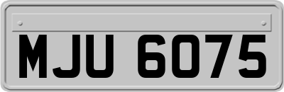 MJU6075