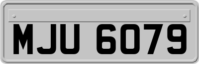 MJU6079