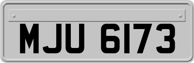 MJU6173