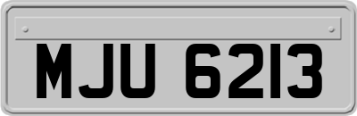 MJU6213