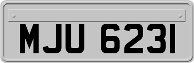 MJU6231