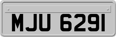 MJU6291