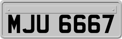 MJU6667