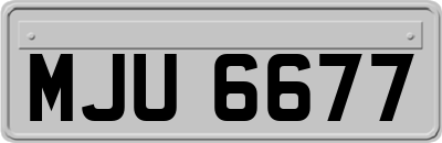 MJU6677