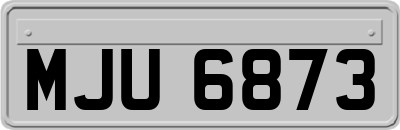 MJU6873