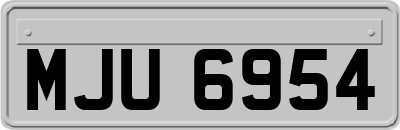 MJU6954