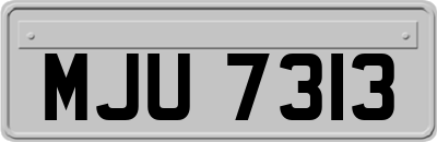 MJU7313