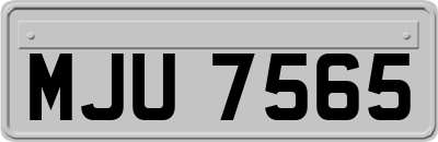 MJU7565