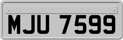 MJU7599