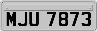 MJU7873