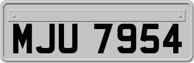 MJU7954