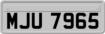 MJU7965