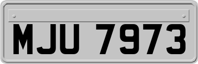 MJU7973