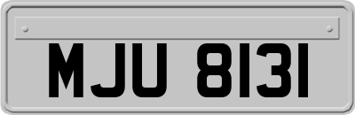 MJU8131