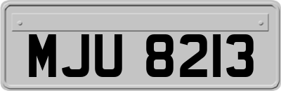 MJU8213