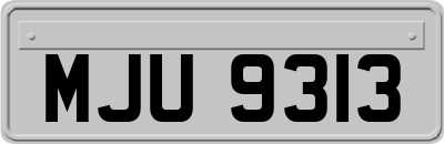 MJU9313